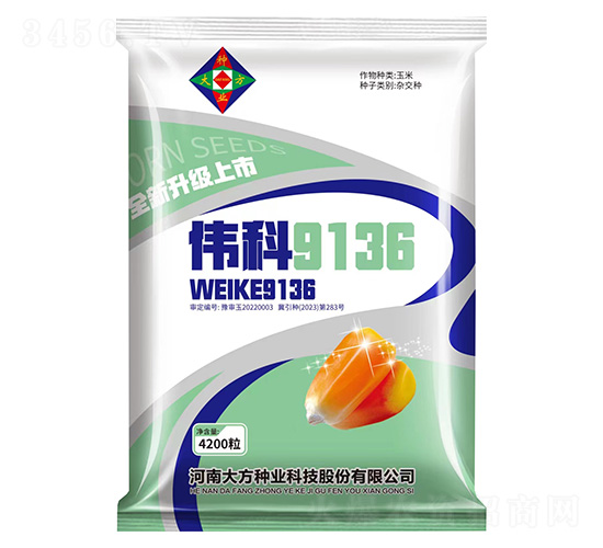 ��������-ΰ��9136--�д���ҵ