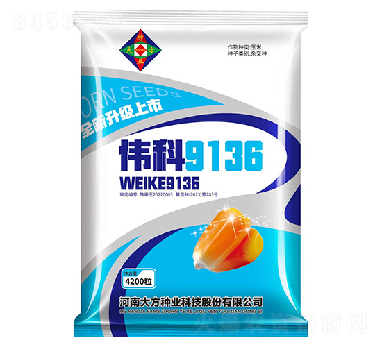 ΰ��9136-��������-�д���ҵ