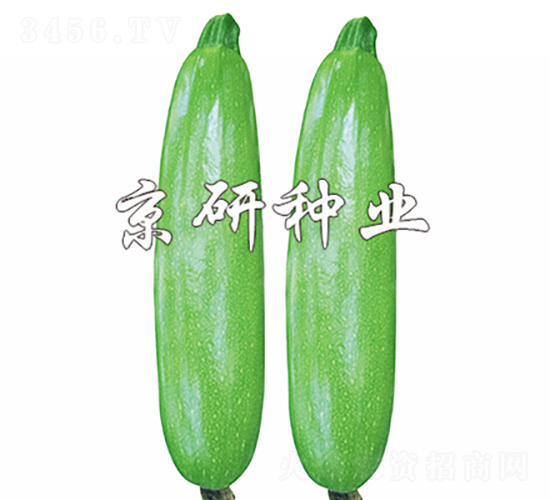 ���8��-����«����-������ҵ