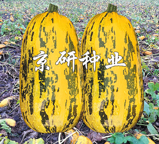 �����ѷ�3��-����«����-������ҵ
