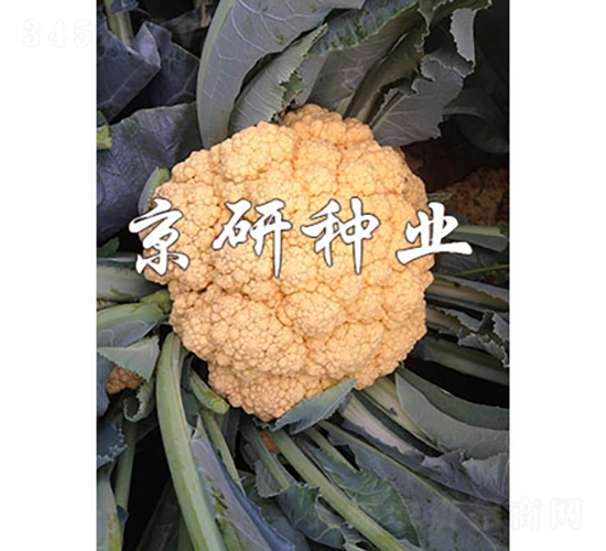 �Ȼ�1��-��Ҭ������-������ҵ