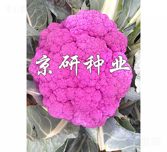 �ϻ�1��-��Ҭ������-������ҵ