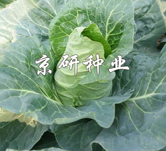 ţ��3��-��������-������ҵ