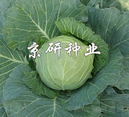 ����611-��������-������ҵ
