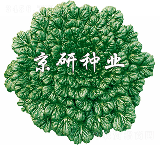 ����������-�Ͳ�����-������ҵ