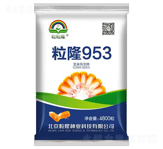 ��¡953-��������-����¡