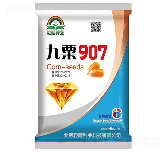 ����907-��������-����¡