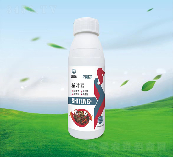 500ml��Ҷ��-������-ʩ����