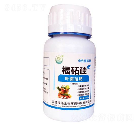 500g���i��-���i����