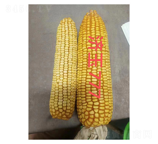 ����777�Ա�ͼ-�͹ȷ�