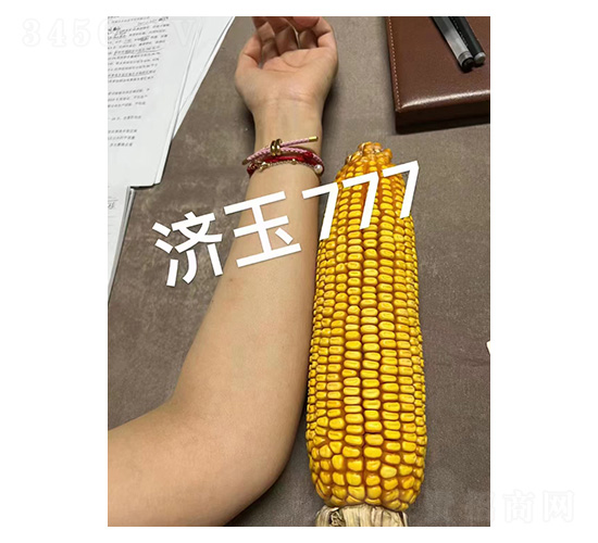 ����777���-�͹ȷ�