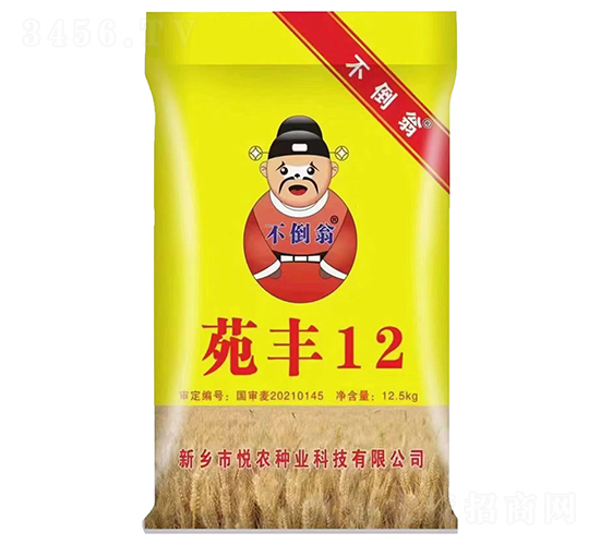 ����12-С������-������