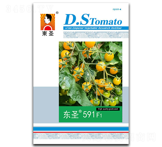 ��ʥ591F1-��������-��ʥ