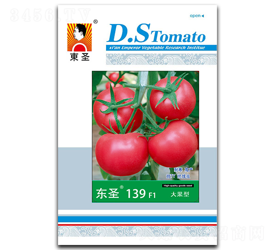 ��ʥ139-��������-��ʥ