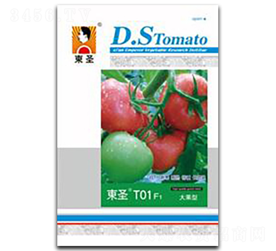 ��ʥT01-��������-��ʥ