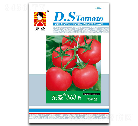 ��ʥ363-��������-��ʥ