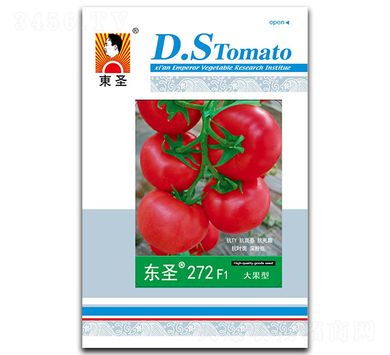 ��ʥ272-��������-��ʥ