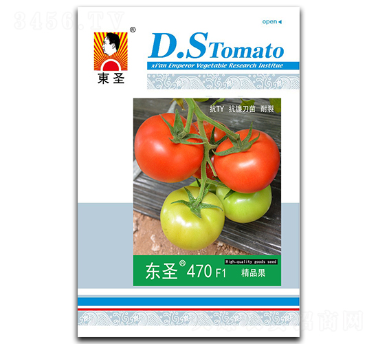 ��ʥ470-��������-��ʥ