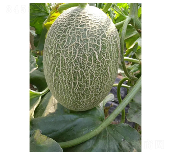 ����һ��-���ܹ�����-��������