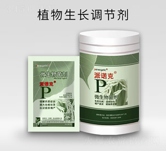 ֲ���������ڼ�-��ŵ��-p-��ŵ��