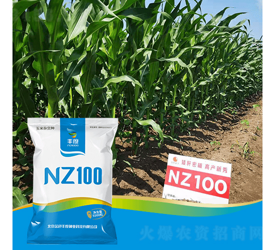 NZ100-��������-��ȸ߿�