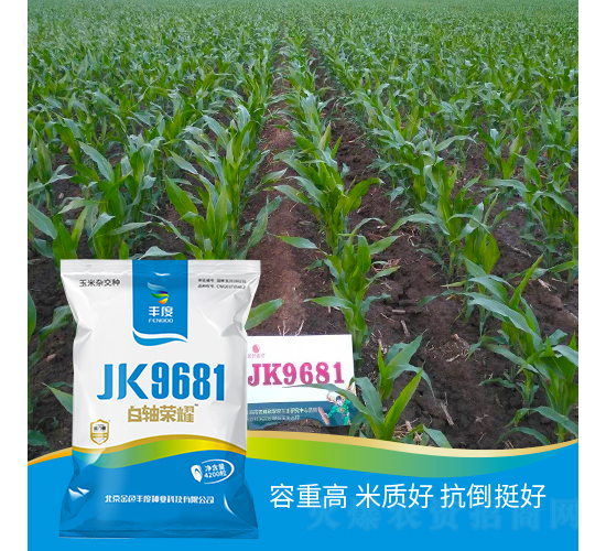 JK9681-��������-��ȸ߿�