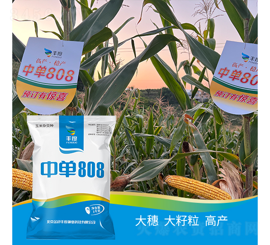 �е�808-��������-��ȸ߿�