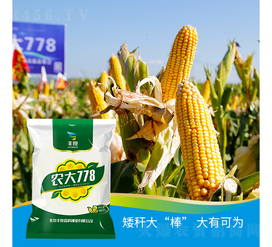 ũ��778-��������-��ȸ߿�