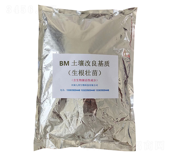 BM�����������ʣ�����׳�磩-�Ű�����