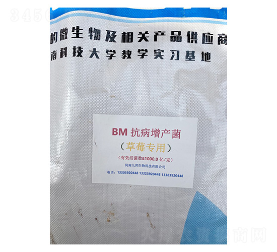 BM����������ֹ������ݮר�ã�-�Ű�����