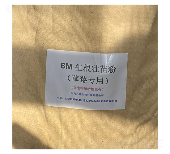 BM����׳�������ݮר�ã�-�Ű�����