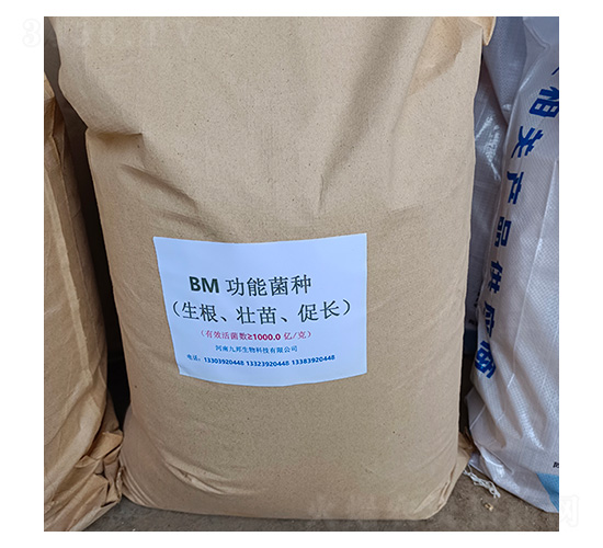 BM����ʹ��ܾ�������׳��ٳ���-�Ű�����