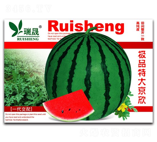 �ش���-��������-����