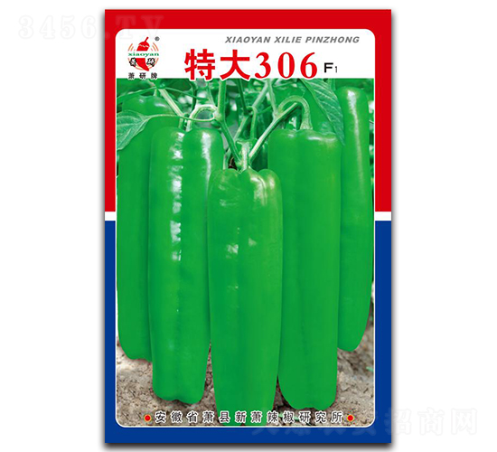 �ش�306-�ݽ�����-������ҵ