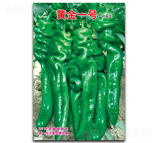 �ƽ�һ��-��˿������-������ҵ
