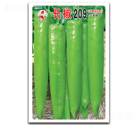 ����209-��������-������ҵ