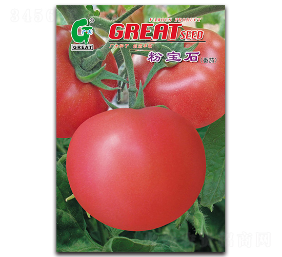 �۱�ʯ-��������-���
