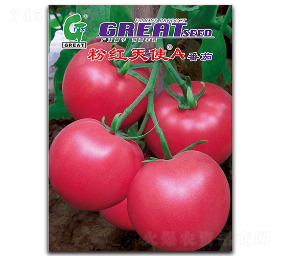 �ۺ���ʹA-��������-���