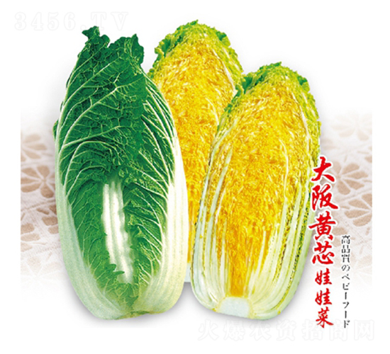 �����о���޲�-���޲�����-��Ʒũҵ