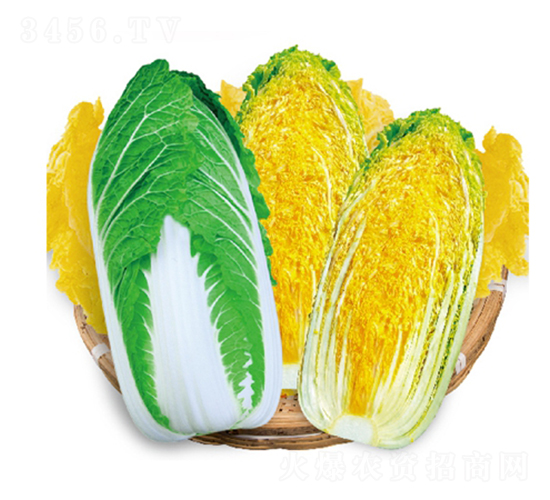 ��ʿ�������޲�-���޲�����-��Ʒũҵ