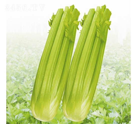 һƷ����-�۲�����-��Ʒũҵ