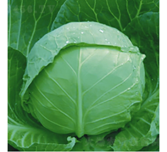 ���Բ���8132-��������-��Ʒũҵ