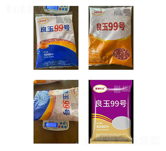 ��������-����99-�д���ҵ