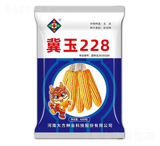 ��������-����228-�д���ҵ
