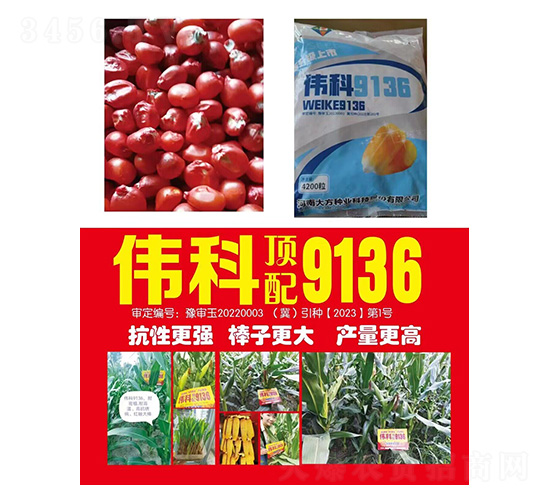 ��������--ΰ��9136-�д���ҵ