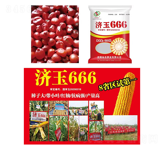 ��������-����666-�д���ҵ