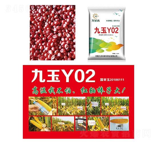 ��������-����Y02-�д���ҵ