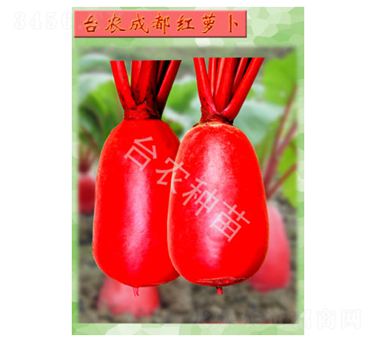 �ɶ����ܲ�-�ܲ�����-̨ũ����