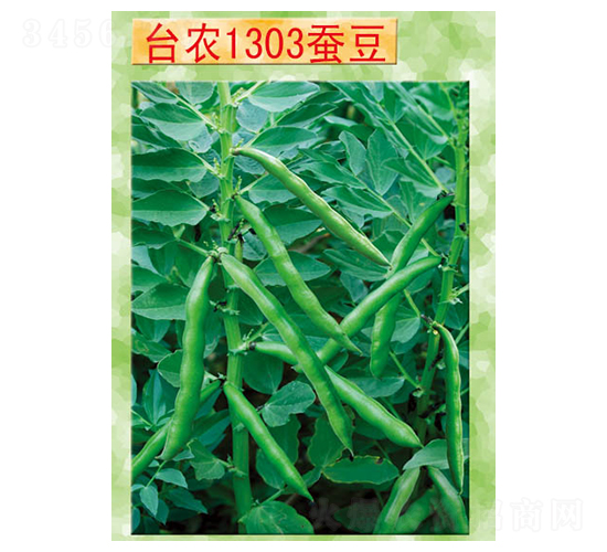 ̨ũ1303�϶�-�϶�����-̨ũ����
