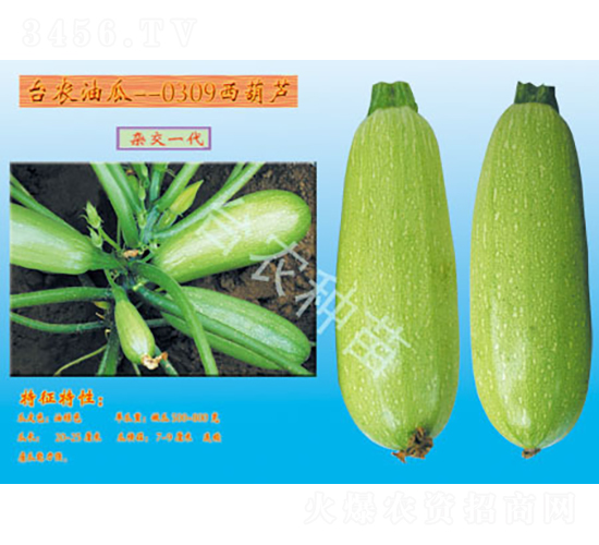 ̨ũ0309����«-����«����-̨ũ����